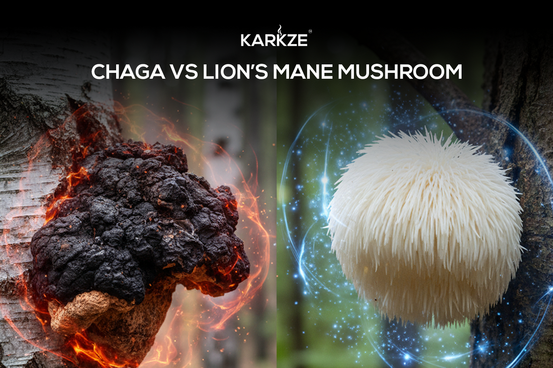 Chaga vs Lion’s Mane Mushroom