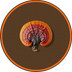 Reishi