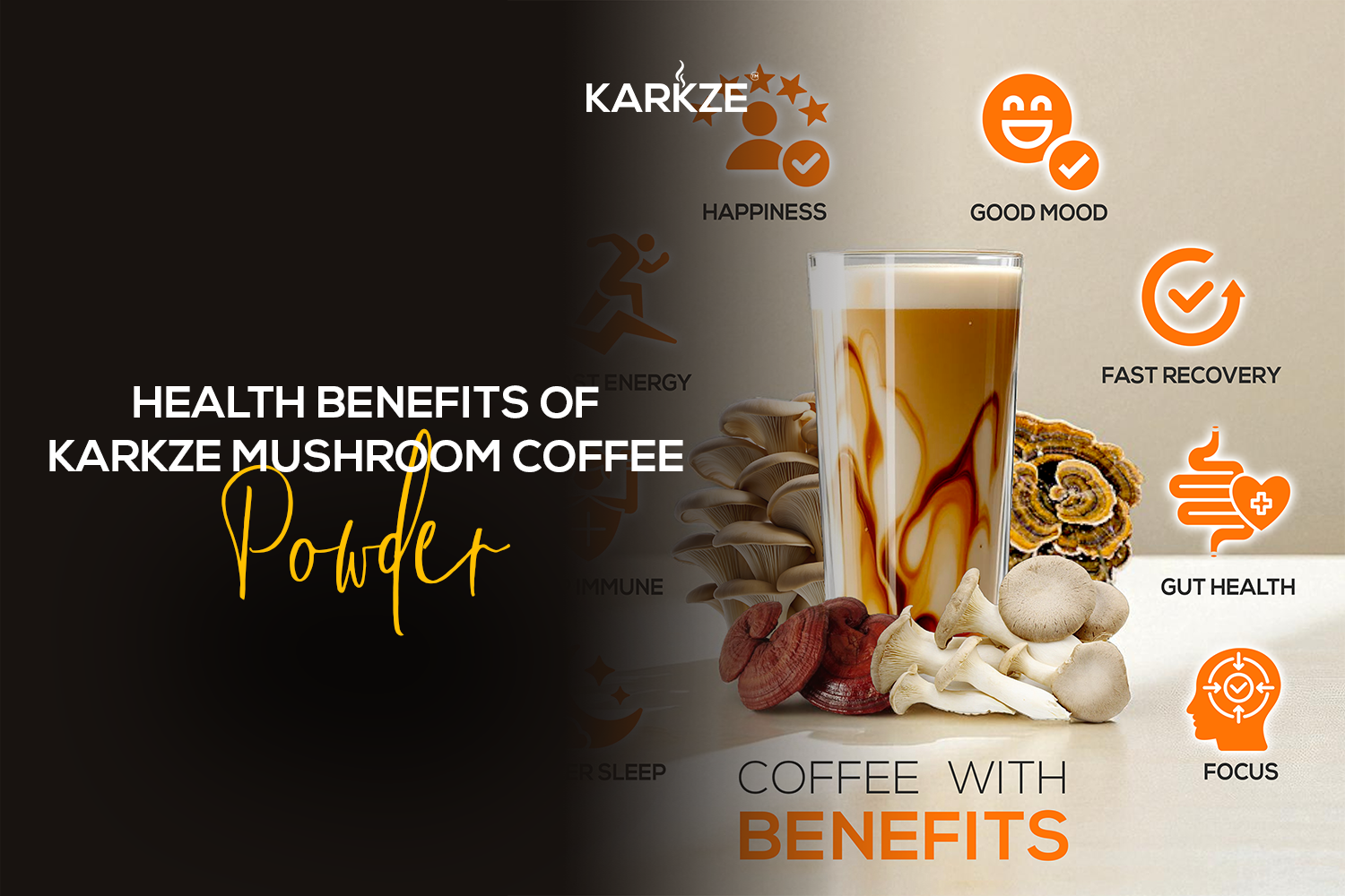 Health Benefits of Karkze Mushroom Coffee, Virginia