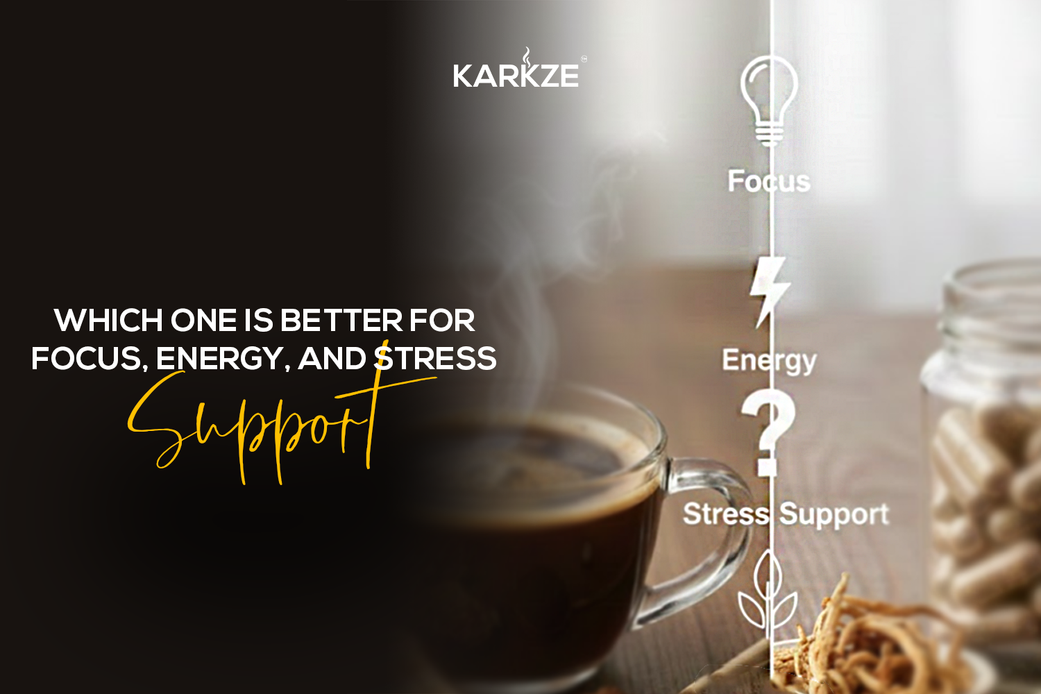 Which One Is Better for Focus, Energy, and Stress Support?