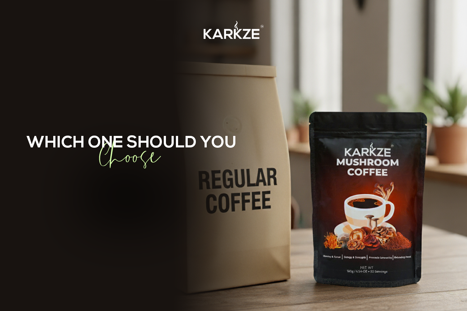 Which One Should You Choose?